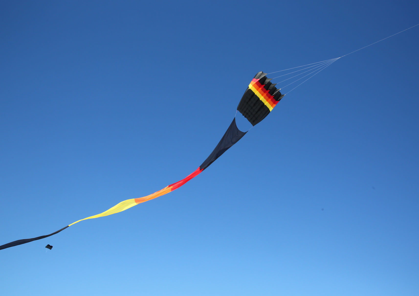 Color the Wind Kite Festival 2019 (5).jpg